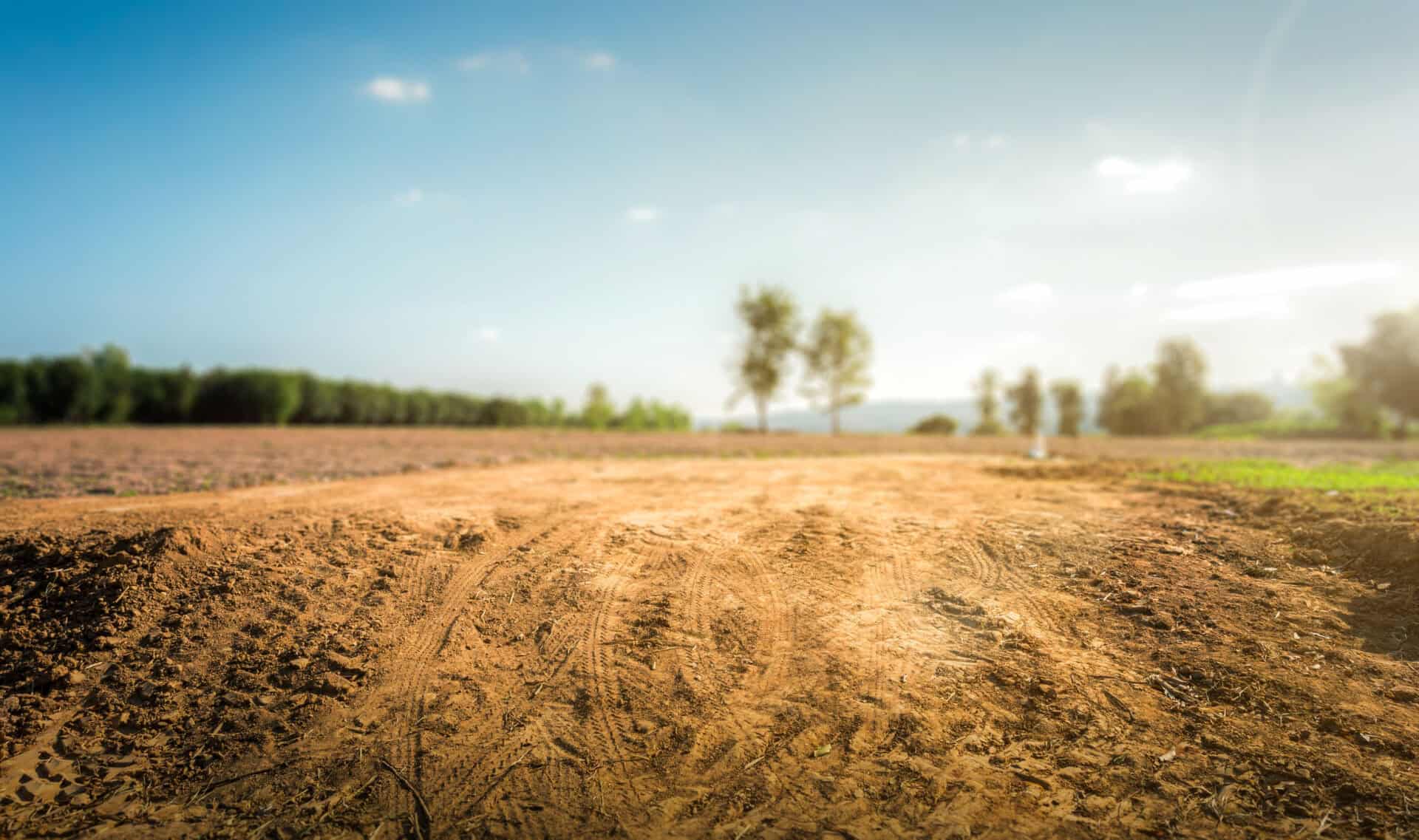 land purchase